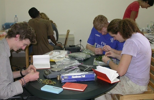 Anthropology students studying food samples in a lab